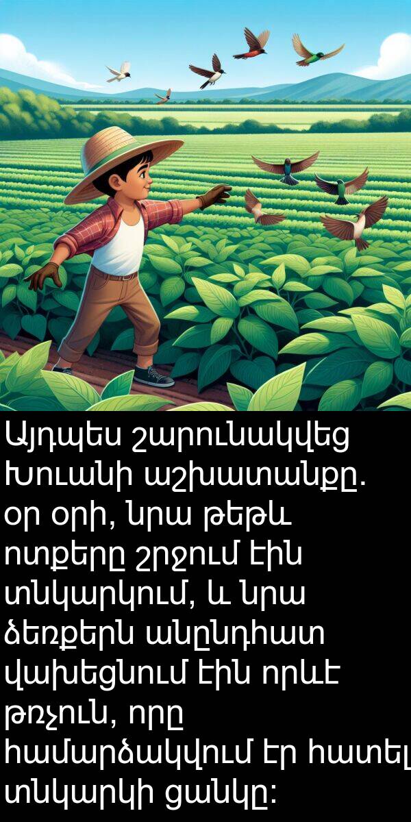 օրի: Այդպես շարունակվեց Խուանի աշխատանքը. օր օրի, նրա թեթև ոտքերը շրջում էին տնկարկում, և նրա ձեռքերն անընդհատ վախեցնում էին որևէ թռչուն, որը համարձակվում էր հատել տնկարկի ցանկը: