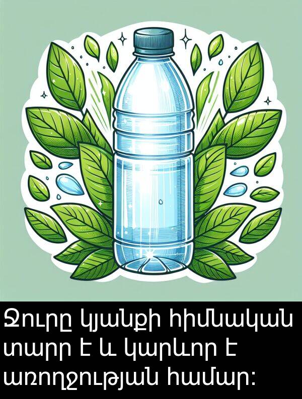 տարր: Ջուրը կյանքի հիմնական տարր է և կարևոր է առողջության համար։