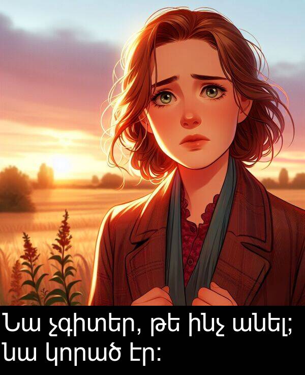 ինչ: Նա չգիտեր, թե ինչ անել; նա կորած էր։