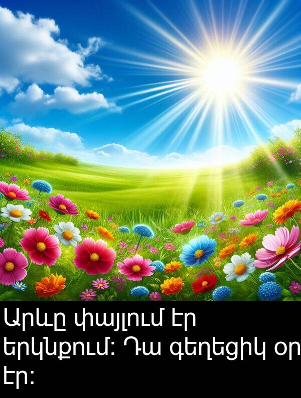 փայլում: Արևը փայլում էր երկնքում։ Դա գեղեցիկ օր էր։