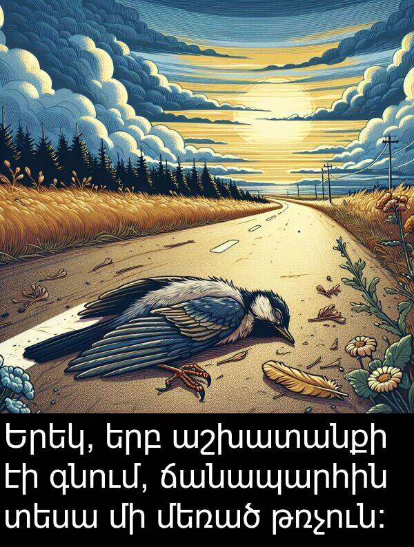 գնում: Երեկ, երբ աշխատանքի էի գնում, ճանապարհին տեսա մի մեռած թռչուն: