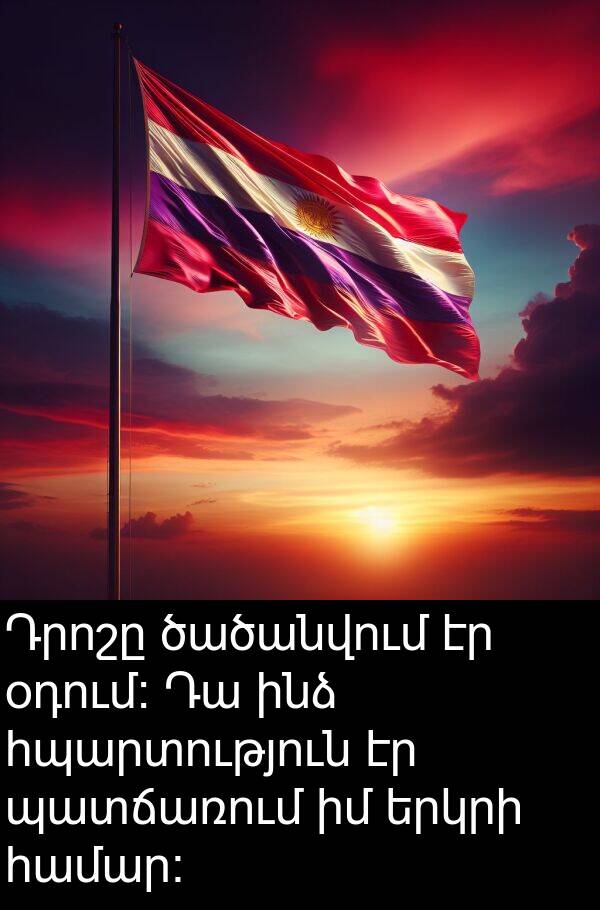 օդում։: Դրոշը ծածանվում էր օդում։ Դա ինձ հպարտություն էր պատճառում իմ երկրի համար։