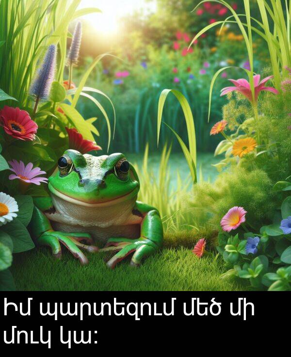 կա։: Իմ պարտեզում մեծ մի մուկ կա։
