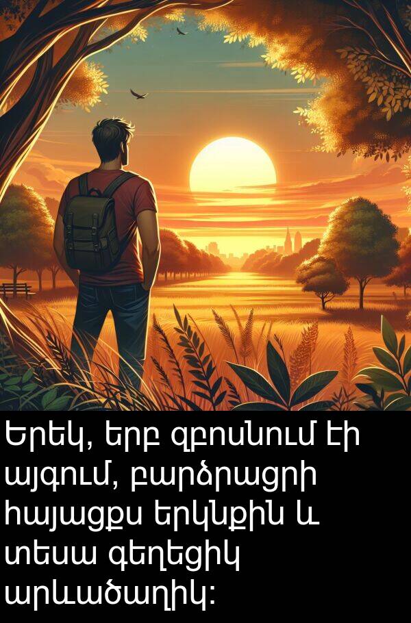 տեսա: Երեկ, երբ զբոսնում էի այգում, բարձրացրի հայացքս երկնքին և տեսա գեղեցիկ արևածաղիկ։