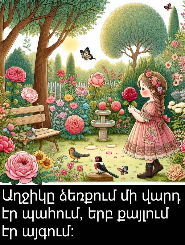 ձեռքում: Աղջիկը ձեռքում մի վարդ էր պահում, երբ քայլում էր այգում: