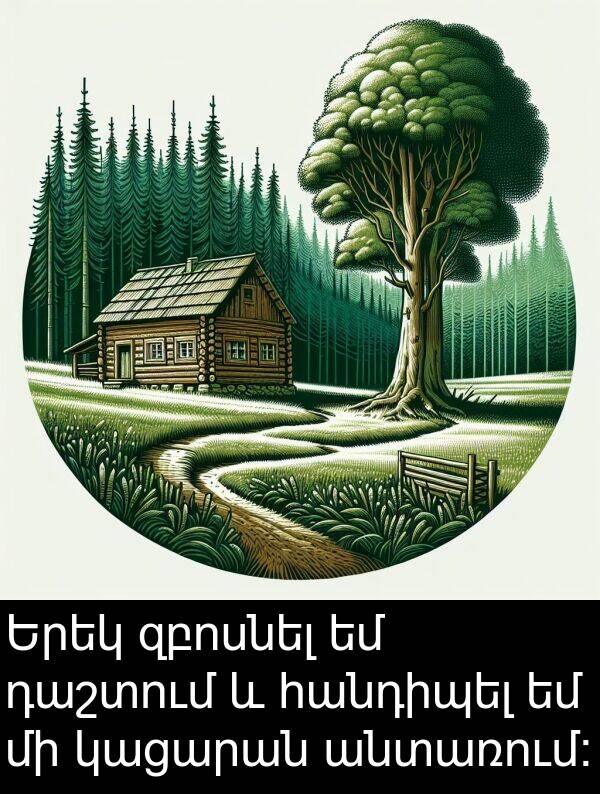 դաշտում: Երեկ զբոսնել եմ դաշտում և հանդիպել եմ մի կացարան անտառում: