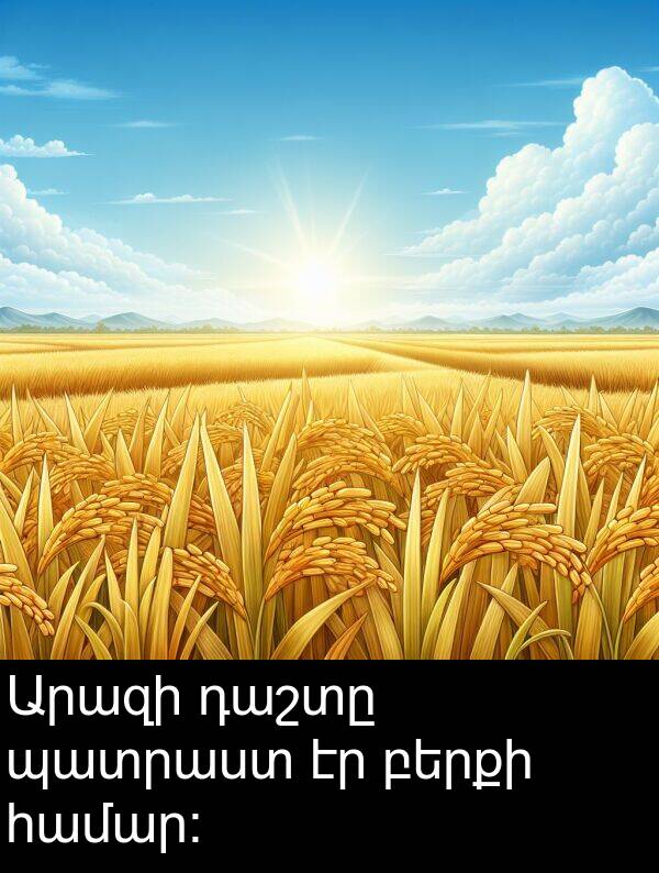 բերքի: Արազի դաշտը պատրաստ էր բերքի համար: