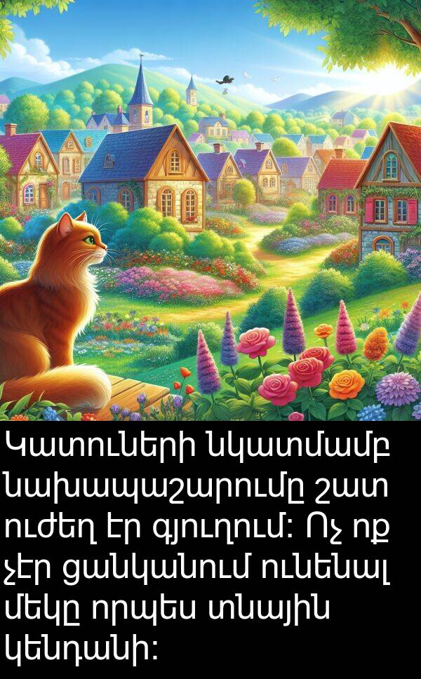 որպես: Կատուների նկատմամբ նախապաշարումը շատ ուժեղ էր գյուղում: Ոչ ոք չէր ցանկանում ունենալ մեկը որպես տնային կենդանի:
