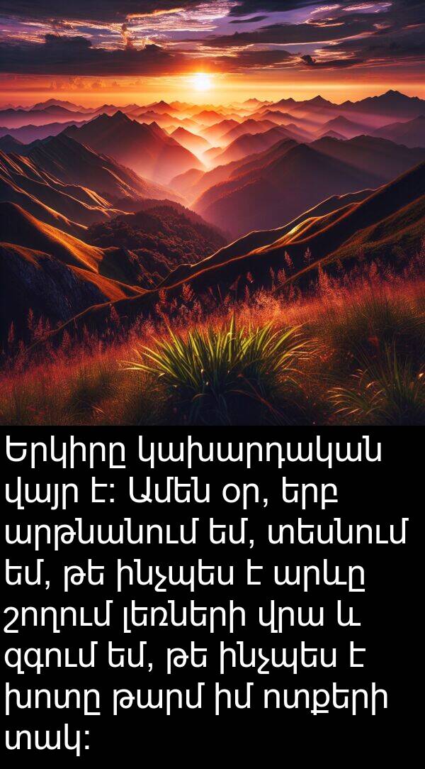 շողում: Երկիրը կախարդական վայր է։ Ամեն օր, երբ արթնանում եմ, տեսնում եմ, թե ինչպես է արևը շողում լեռների վրա և զգում եմ, թե ինչպես է խոտը թարմ իմ ոտքերի տակ։