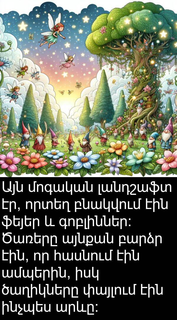 բնակվում: Այն մոգական լանդշաֆտ էր, որտեղ բնակվում էին ֆեյեր և գոբլիններ: Ծառերը այնքան բարձր էին, որ հասնում էին ամպերին, իսկ ծաղիկները փայլում էին ինչպես արևը: