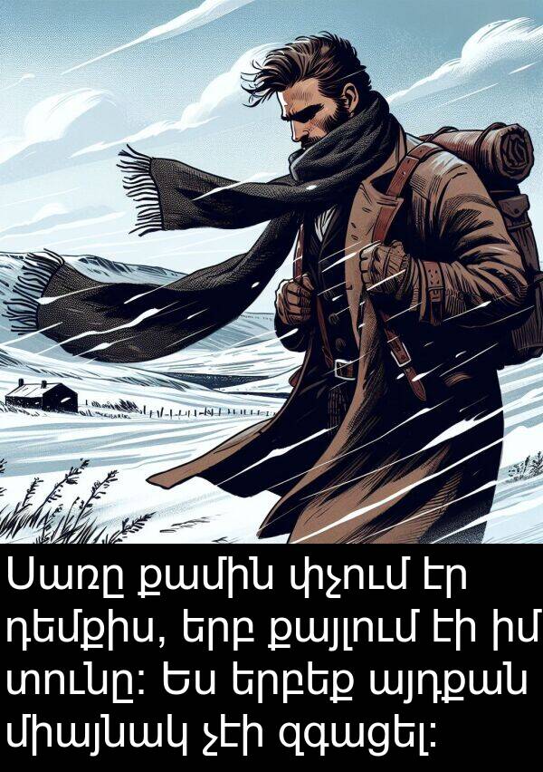 քամին: Սառը քամին փչում էր դեմքիս, երբ քայլում էի իմ տունը։ Ես երբեք այդքան միայնակ չէի զգացել։