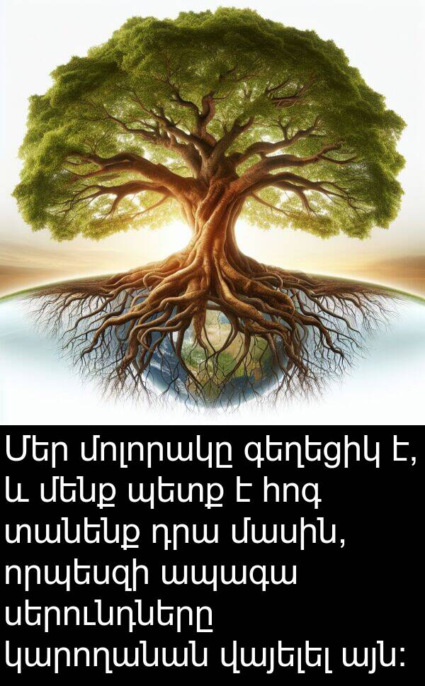 հոգ: Մեր մոլորակը գեղեցիկ է, և մենք պետք է հոգ տանենք դրա մասին, որպեսզի ապագա սերունդները կարողանան վայելել այն: