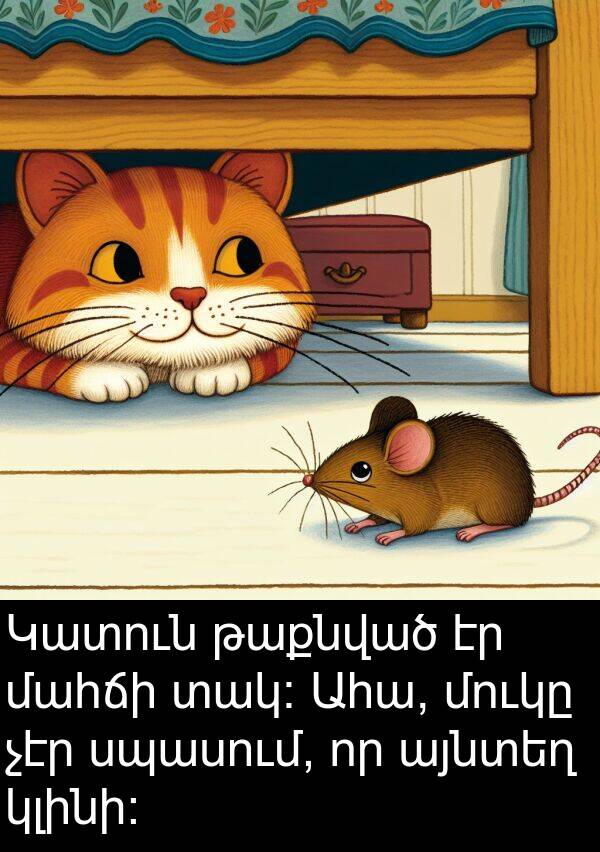 տակ։: Կատուն թաքնված էր մահճի տակ։ Ահա, մուկը չէր սպասում, որ այնտեղ կլինի։