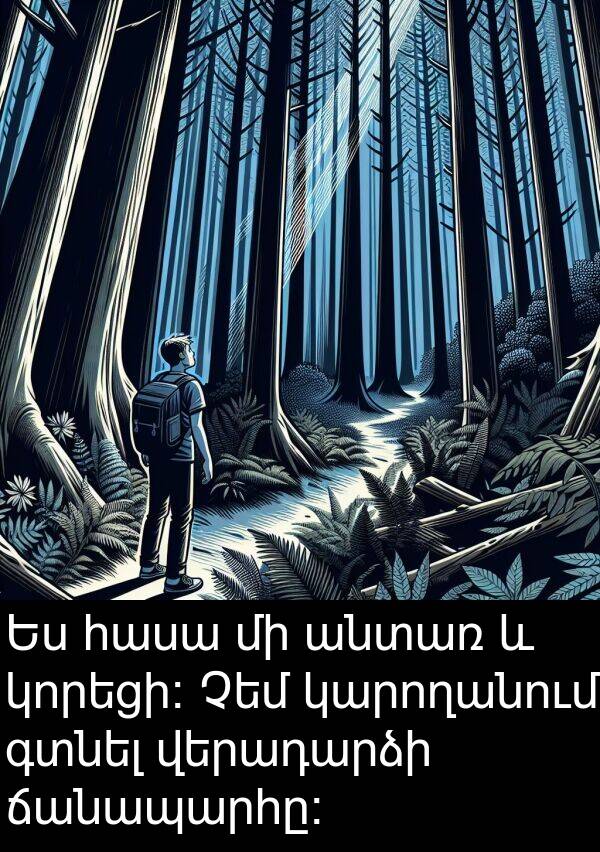 գտնել: Ես հասա մի անտառ և կորեցի։ Չեմ կարողանում գտնել վերադարձի ճանապարհը։