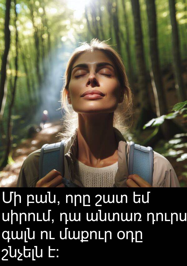օդը: Մի բան, որը շատ եմ սիրում, դա անտառ դուրս գալն ու մաքուր օդը շնչելն է: