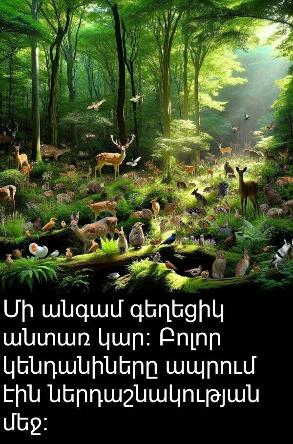 ներդաշնակության: Մի անգամ գեղեցիկ անտառ կար։ Բոլոր կենդանիները ապրում էին ներդաշնակության մեջ։