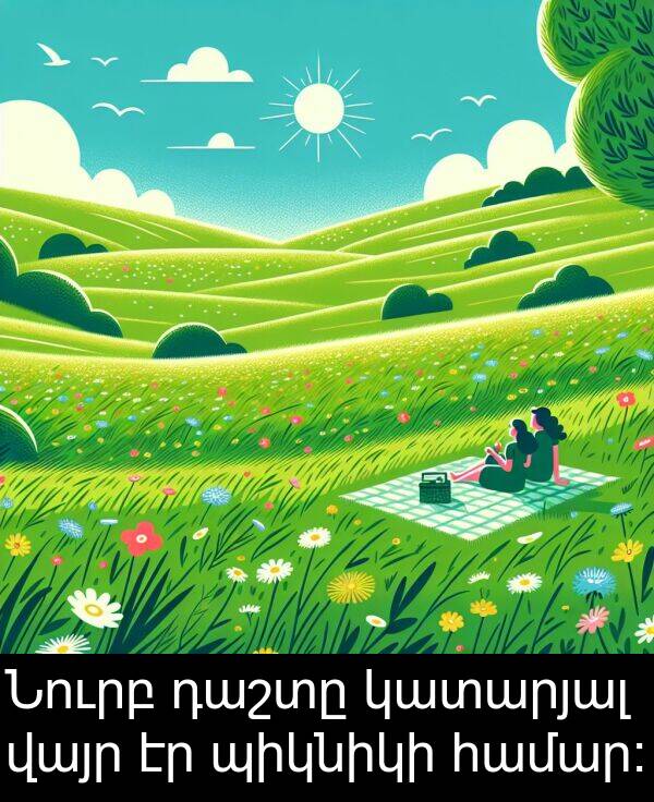 կատարյալ: Նուրբ դաշտը կատարյալ վայր էր պիկնիկի համար։