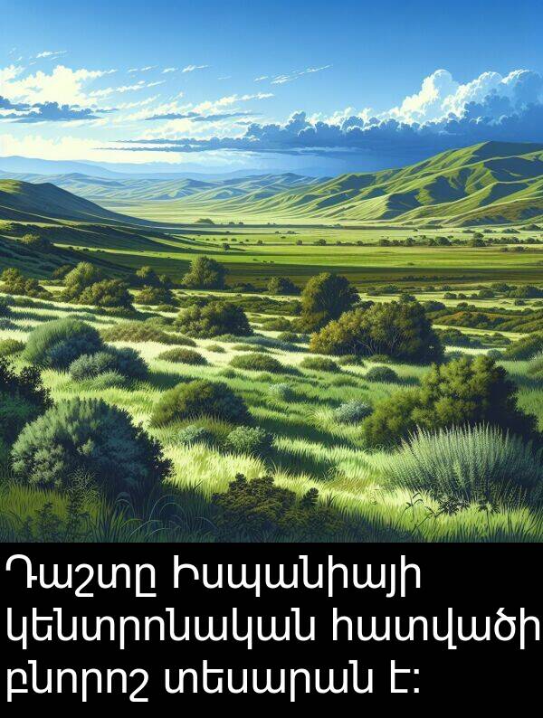 բնորոշ: Դաշտը Իսպանիայի կենտրոնական հատվածի բնորոշ տեսարան է։