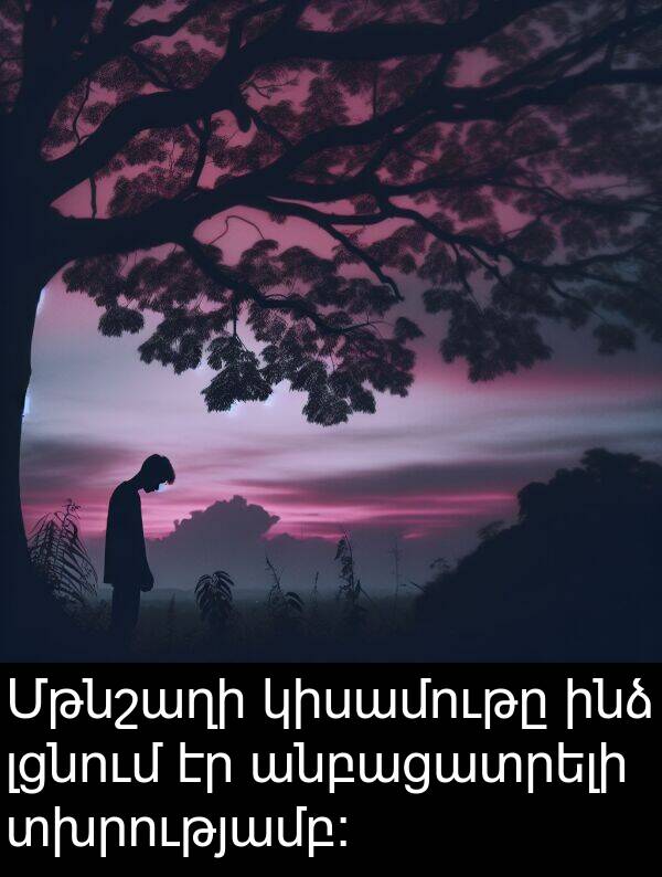 կիսամութը: Մթնշաղի կիսամութը ինձ լցնում էր անբացատրելի տխրությամբ։