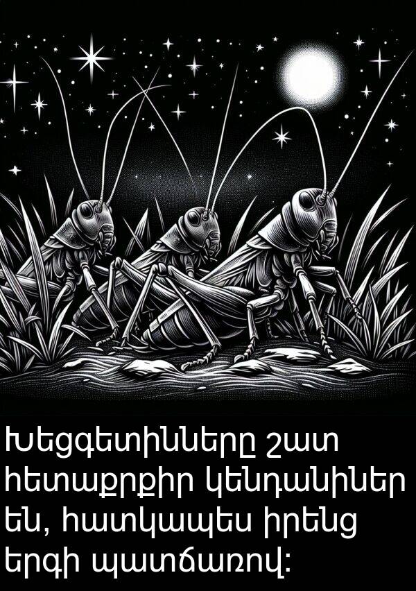 կենդանիներ: Խեցգետինները շատ հետաքրքիր կենդանիներ են, հատկապես իրենց երգի պատճառով:
