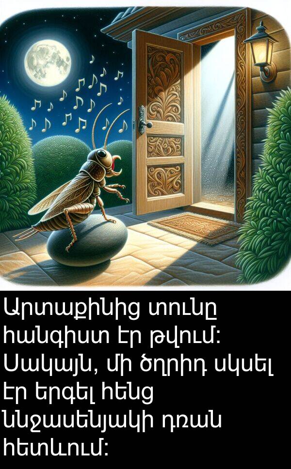 ծղրիդ: Արտաքինից տունը հանգիստ էր թվում։ Սակայն, մի ծղրիդ սկսել էր երգել հենց ննջասենյակի դռան հետևում։