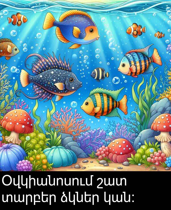 կան։: Օվկիանոսում շատ տարբեր ձկներ կան։
