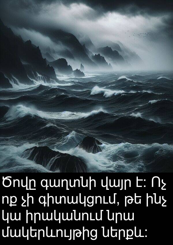 ինչ: Ծովը գաղտնի վայր է։ Ոչ ոք չի գիտակցում, թե ինչ կա իրականում նրա մակերևույթից ներքև։