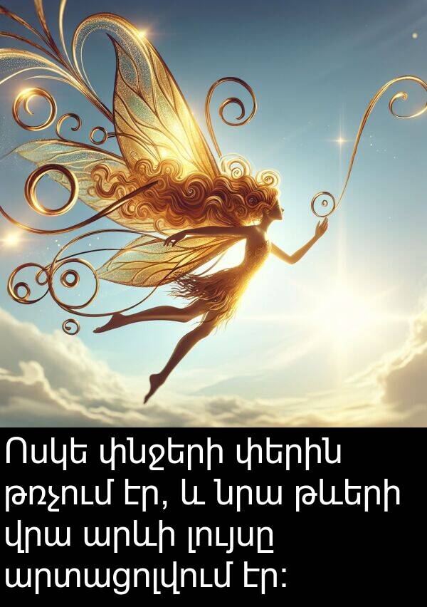 թռչում: Ոսկե փնջերի փերին թռչում էր, և նրա թևերի վրա արևի լույսը արտացոլվում էր։