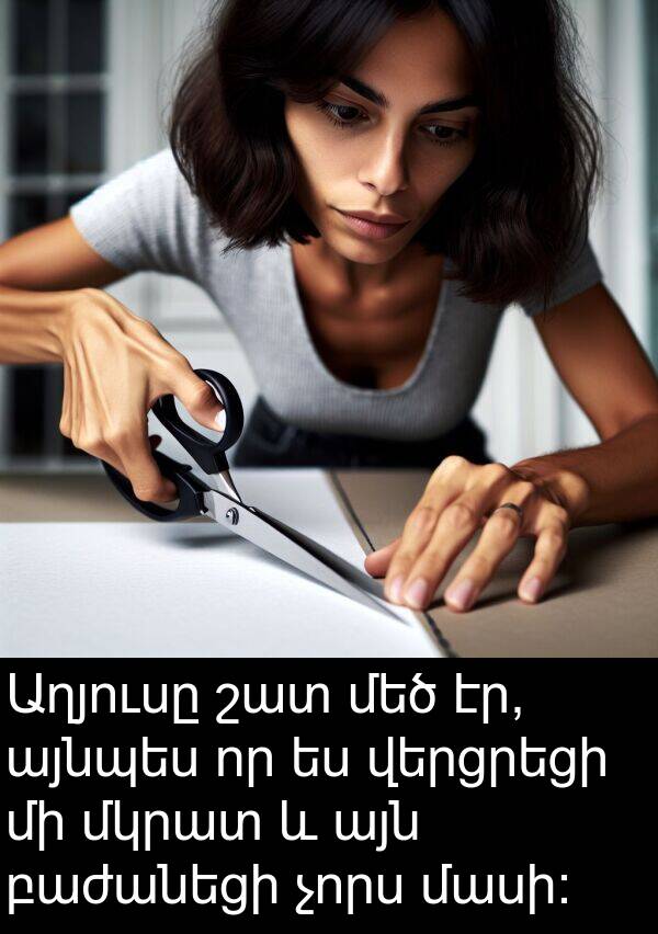 այնպես: Աղյուսը շատ մեծ էր, այնպես որ ես վերցրեցի մի մկրատ և այն բաժանեցի չորս մասի: