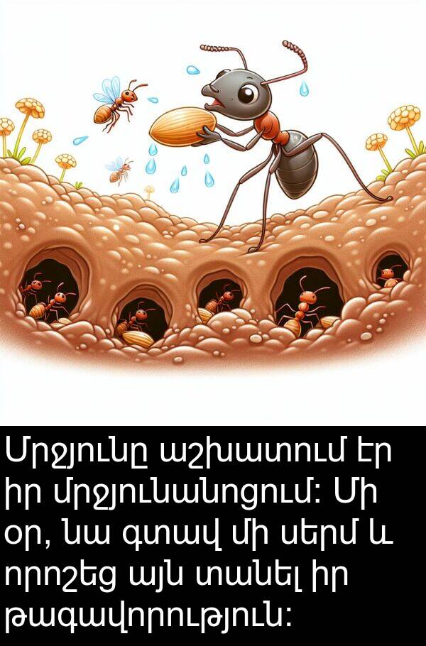 գտավ: Մրջյունը աշխատում էր իր մրջյունանոցում: Մի օր, նա գտավ մի սերմ և որոշեց այն տանել իր թագավորություն:
