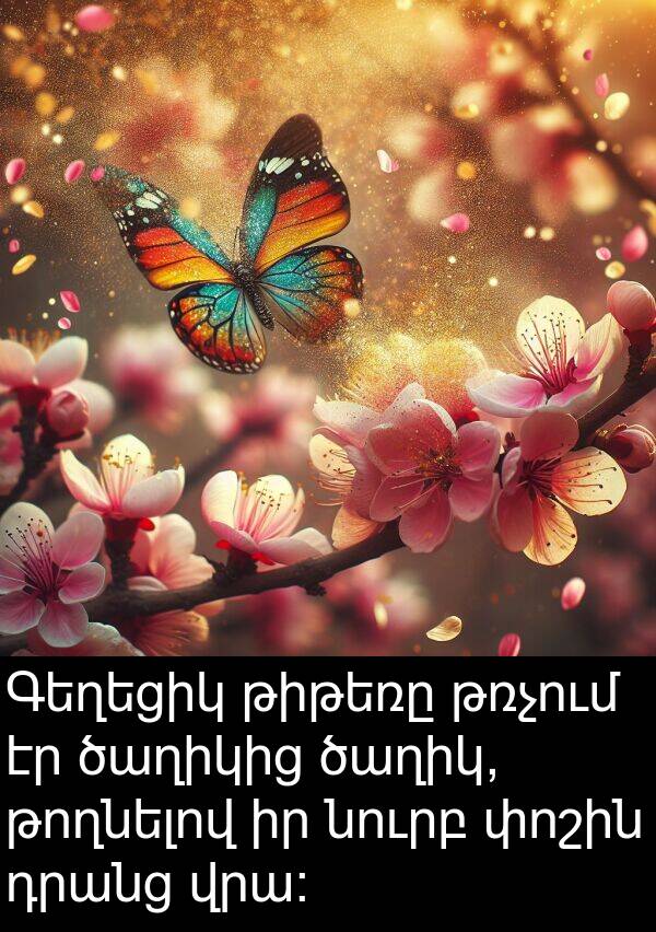 թռչում: Գեղեցիկ թիթեռը թռչում էր ծաղիկից ծաղիկ, թողնելով իր նուրբ փոշին դրանց վրա։