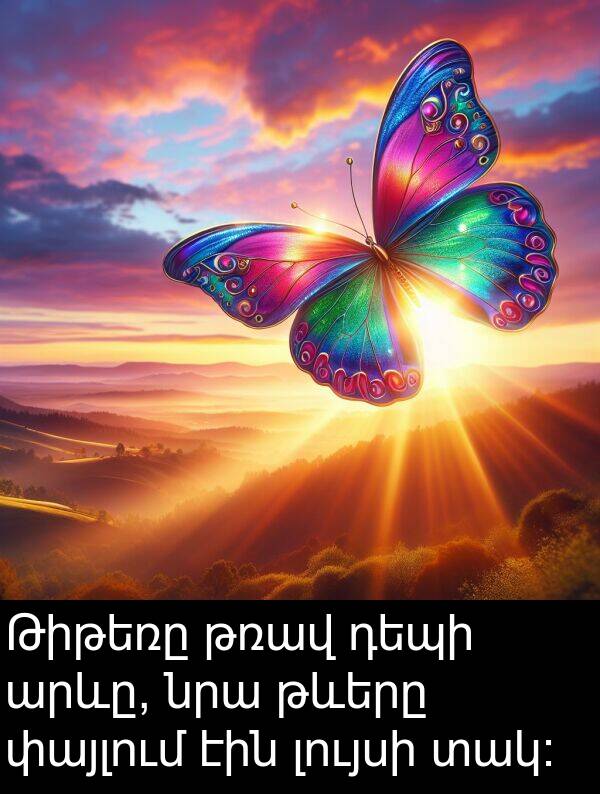 տակ։: Թիթեռը թռավ դեպի արևը, նրա թևերը փայլում էին լույսի տակ։