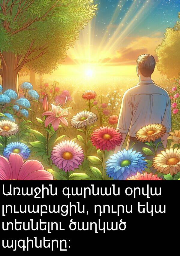 տեսնելու: Առաջին գարնան օրվա լուսաբացին, դուրս եկա տեսնելու ծաղկած այգիները։