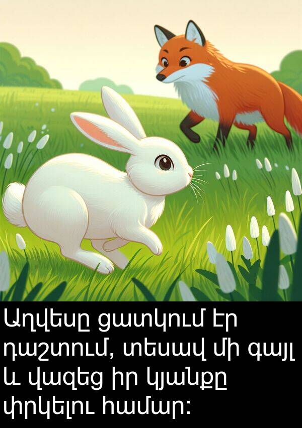 փրկելու: Աղվեսը ցատկում էր դաշտում, տեսավ մի գայլ և վազեց իր կյանքը փրկելու համար: