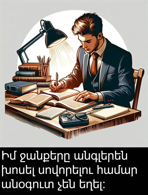 ջանքերը: Իմ ջանքերը անգլերեն խոսել սովորելու համար անօգուտ չեն եղել: