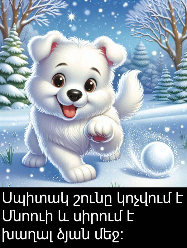 սիրում: Սպիտակ շունը կոչվում է Սնոուի և սիրում է խաղալ ձյան մեջ։
