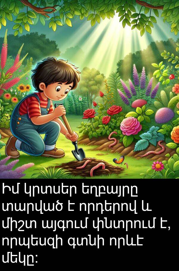 գտնի: Իմ կրտսեր եղբայրը տարված է որդերով և միշտ այգում փնտրում է, որպեսզի գտնի որևէ մեկը։