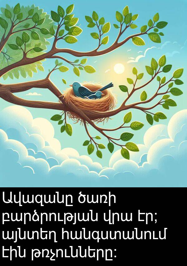թռչունները։: Ավազանը ծառի բարձրության վրա էր; այնտեղ հանգստանում էին թռչունները։