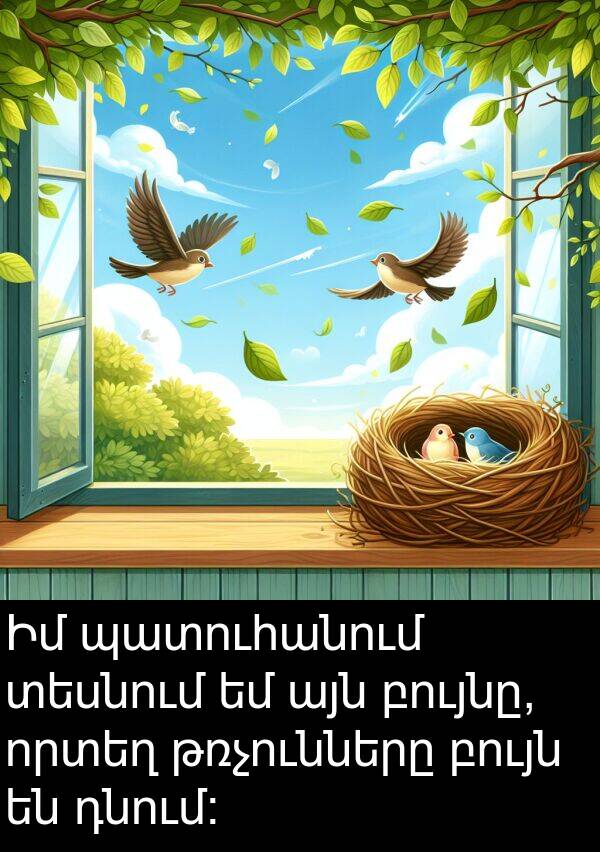 բույնը: Իմ պատուհանում տեսնում եմ այն բույնը, որտեղ թռչունները բույն են դնում։