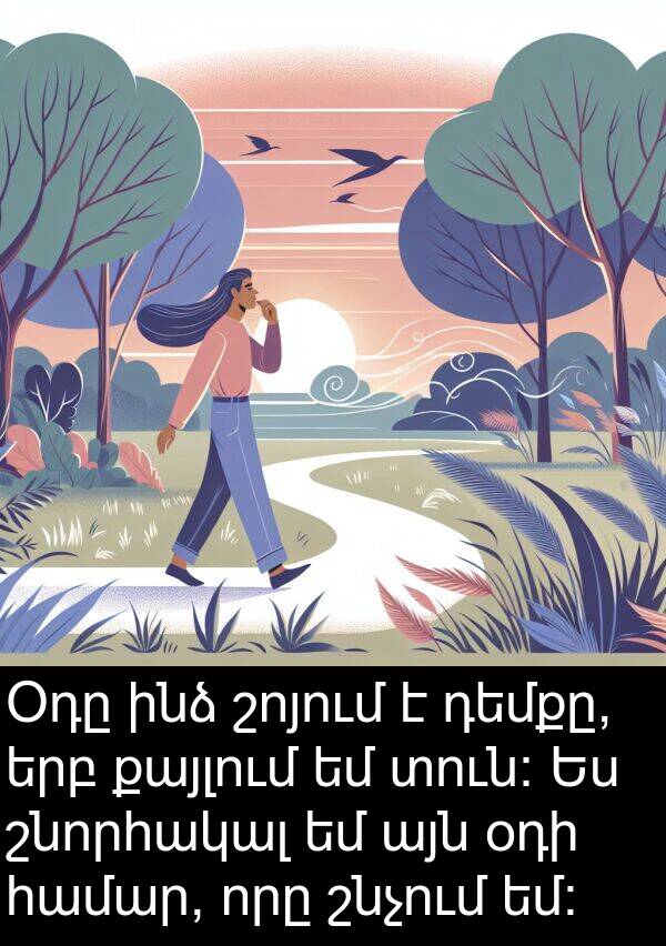 շնորհակալ: Օդը ինձ շոյում է դեմքը, երբ քայլում եմ տուն: Ես շնորհակալ եմ այն օդի համար, որը շնչում եմ: