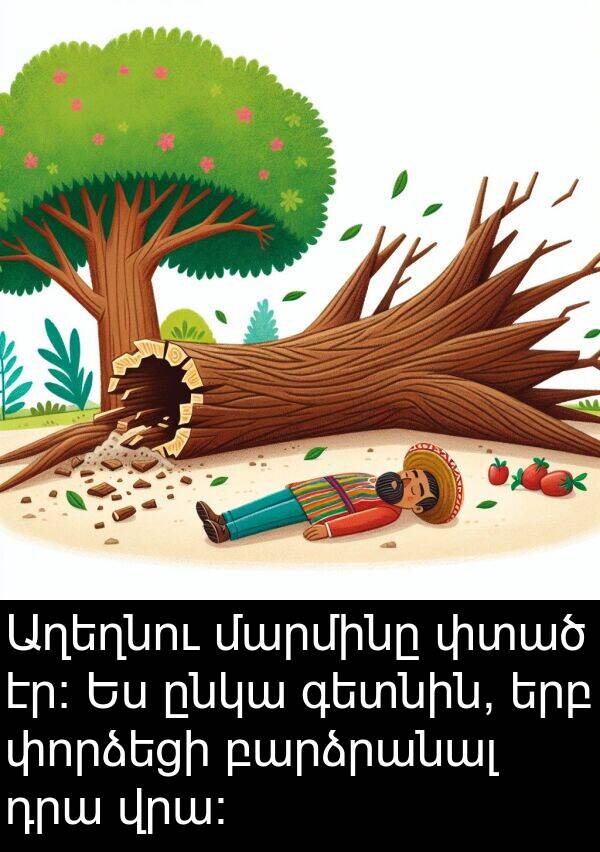փտած: Աղեղնու մարմինը փտած էր։ Ես ընկա գետնին, երբ փորձեցի բարձրանալ դրա վրա։