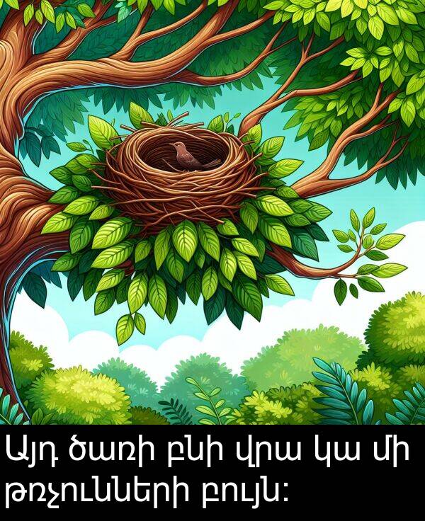բույն։: Այդ ծառի բնի վրա կա մի թռչունների բույն։