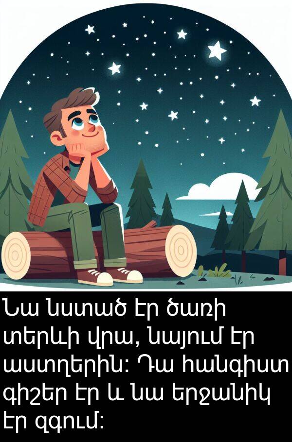 ծառի: Նա նստած էր ծառի տերևի վրա, նայում էր աստղերին: Դա հանգիստ գիշեր էր և նա երջանիկ էր զգում: