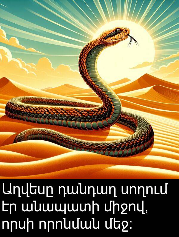 անապատի: Աղվեսը դանդաղ սողում էր անապատի միջով, որսի որոնման մեջ: