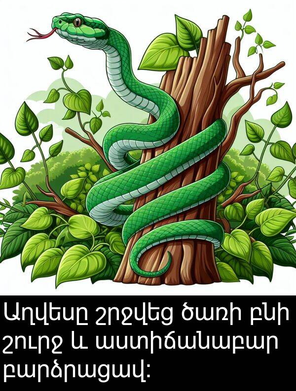 բնի: Աղվեսը շրջվեց ծառի բնի շուրջ և աստիճանաբար բարձրացավ: