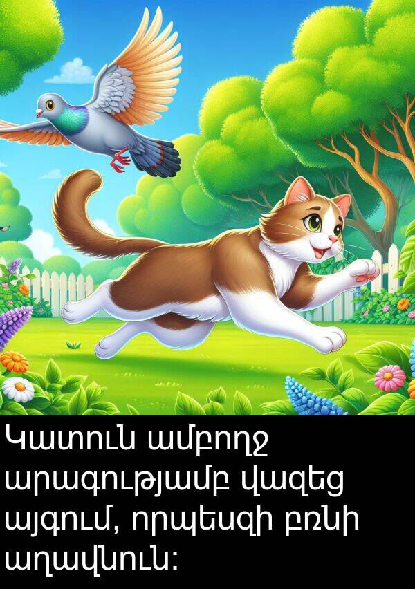 բռնի: Կատուն ամբողջ արագությամբ վազեց այգում, որպեսզի բռնի աղավնուն: