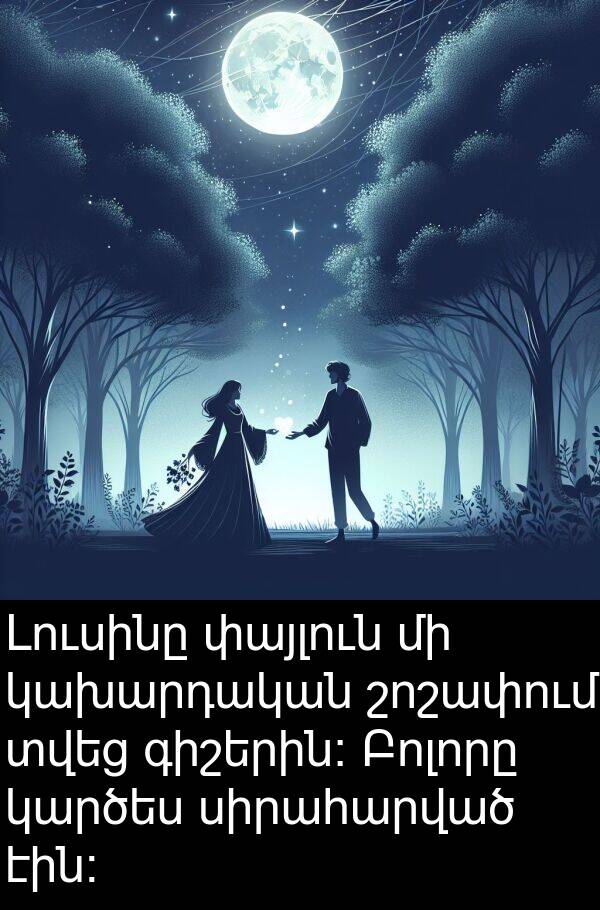 կախարդական: Լուսինը փայլուն մի կախարդական շոշափում տվեց գիշերին։ Բոլորը կարծես սիրահարված էին։