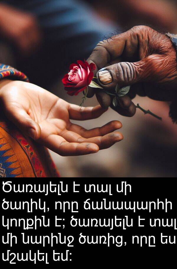 ծառայելն: Ծառայելն է տալ մի ծաղիկ, որը ճանապարհի կողքին է; ծառայելն է տալ մի նարինջ ծառից, որը ես մշակել եմ։