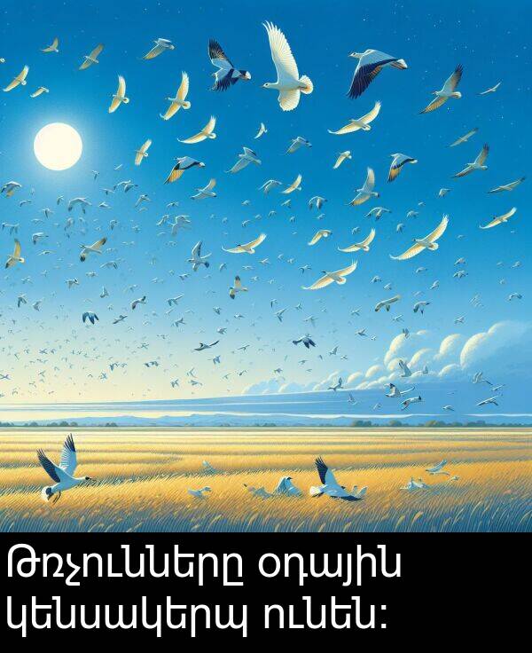 օդային: Թռչունները օդային կենսակերպ ունեն։