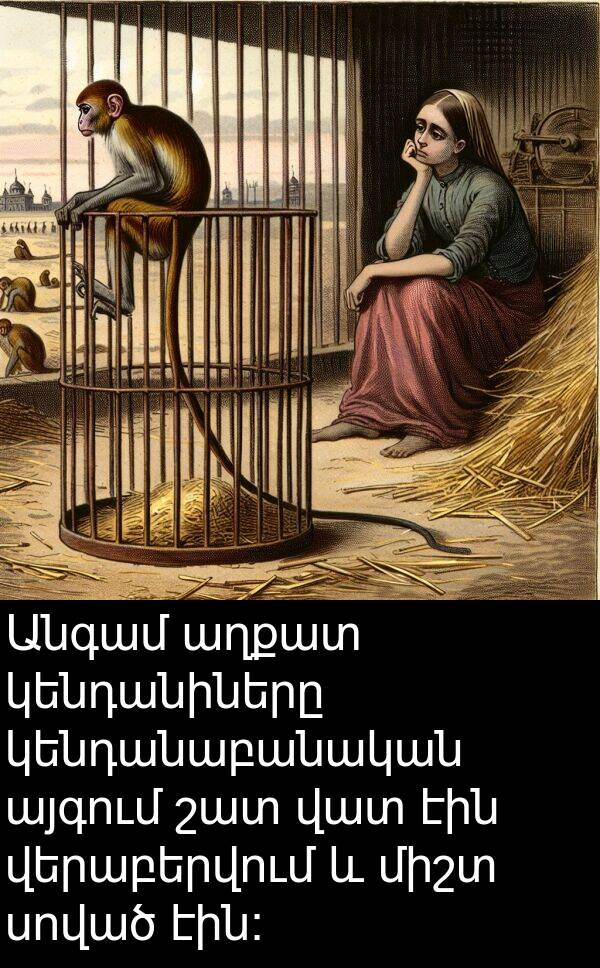 աղքատ: Անգամ աղքատ կենդանիները կենդանաբանական այգում շատ վատ էին վերաբերվում և միշտ սոված էին։